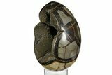 Septarian Dragon Egg Geode - Black Crystals #157869-2
